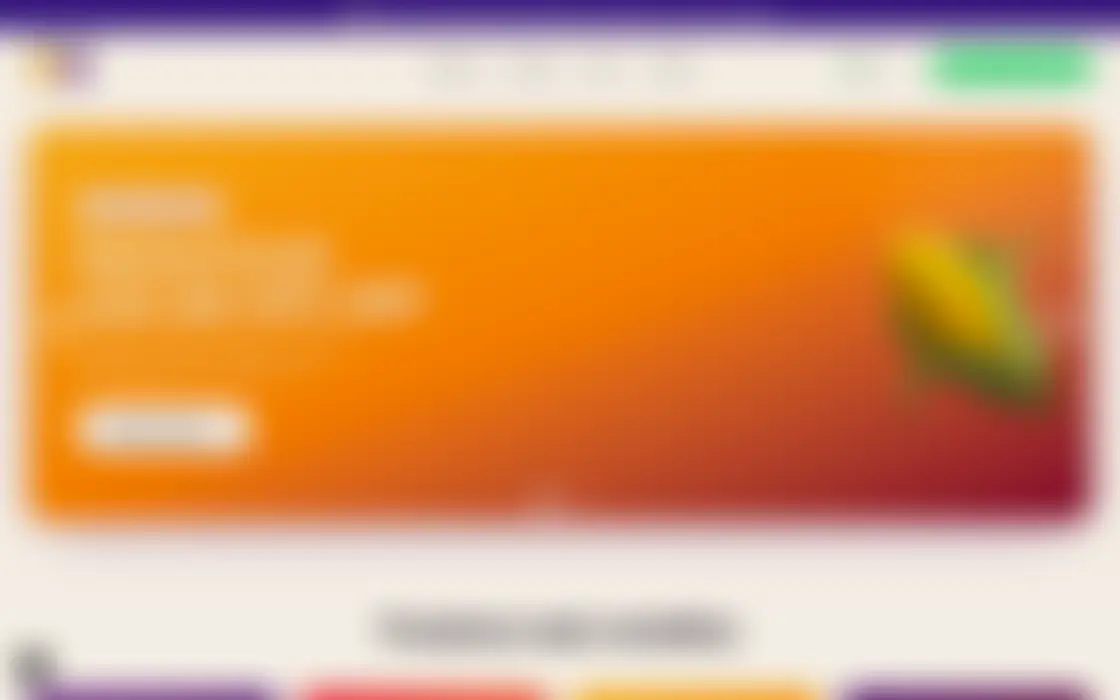 Prévia do projeto Site do Grupo Ara (em breve)